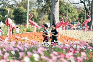 BIB: 
                            <button type="button" onclick="openModal(27344300)" class="btn btn-primary btn-sm float-right btn-popup" data-toggle="modal" data-target=".modal-high-quality">
                        <i class="fas fa-shopping-cart"></i> Add to Cart
                    </button>
                                            <button type="button" onclick="isThisMe(27344300, true)" class="btn btn-success btn-sm float-right btn-popup btn-isme hidden" data-toggle="tooltip" data-placement="bottom" title="นี่คือรูปของคุณใช่ไหม คลิกที่นี่เพื่อเอาเข้าอัลบั้ม">
                        <i class="fas fa-plus"></i> Add to album
                    </button>
                    <button type="button" onclick="isThisMe(27344300, false)" class="btn btn-warning btn-sm float-right btn-popup btn-isnotme hidden">
                        <i class="fas fa-ban"></i> Remove from album
                    </button>